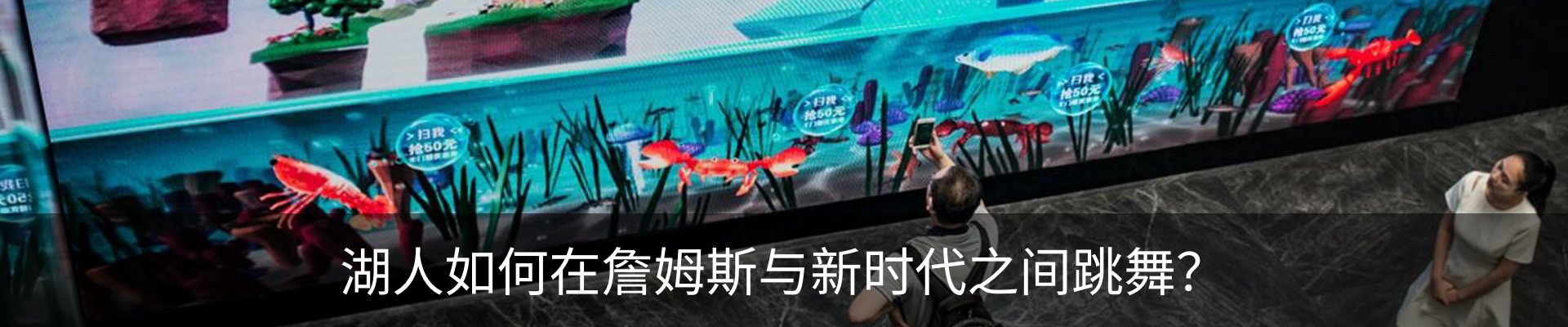 新闻动态